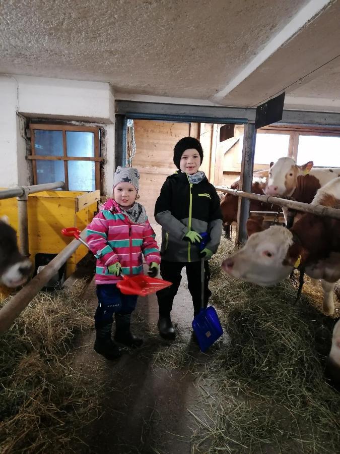 Ferienhaus Stoanerhof Fügen Kültér fotó
